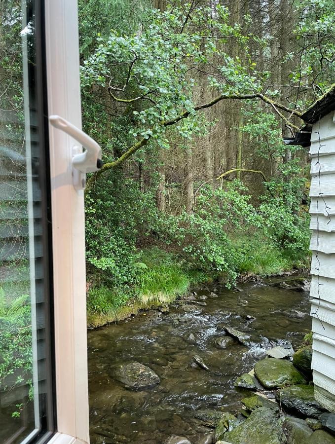 Cuckoo Cabin, Tyn Y Cwm Eglwys-Fach Eksteriør billede